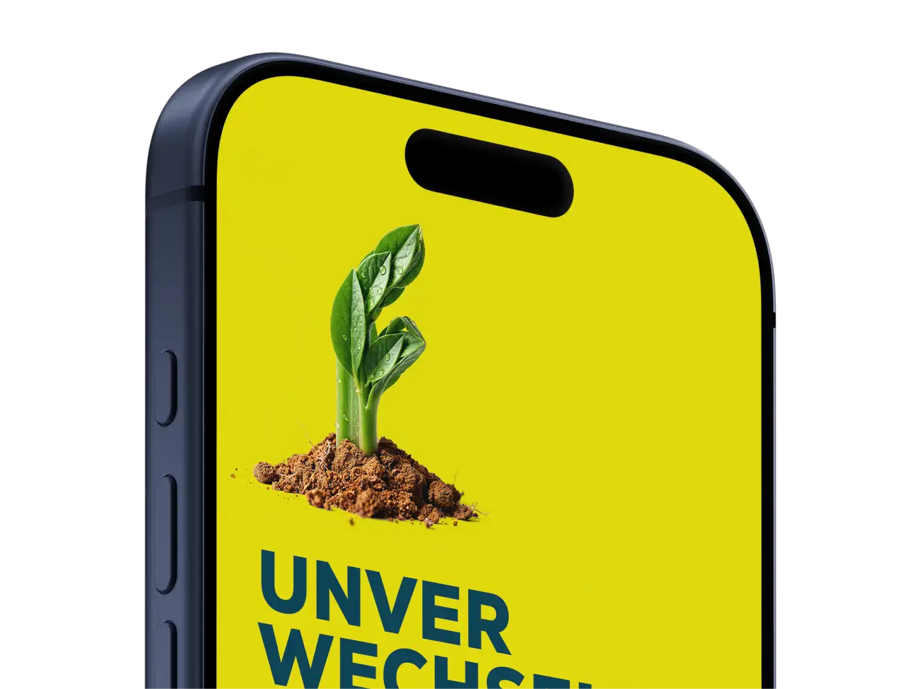 formgrad Newsletter auf dem Smartphone